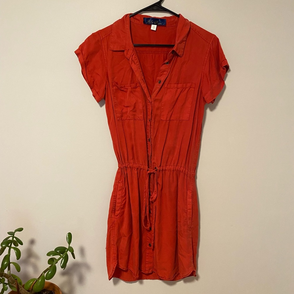 Francesca‘s - Blue Rain Dress